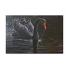Trademark Fine Art Michael Jackson 'Black Swan In Water' Canvas Art, 12x19 ALI43342-C1219GG